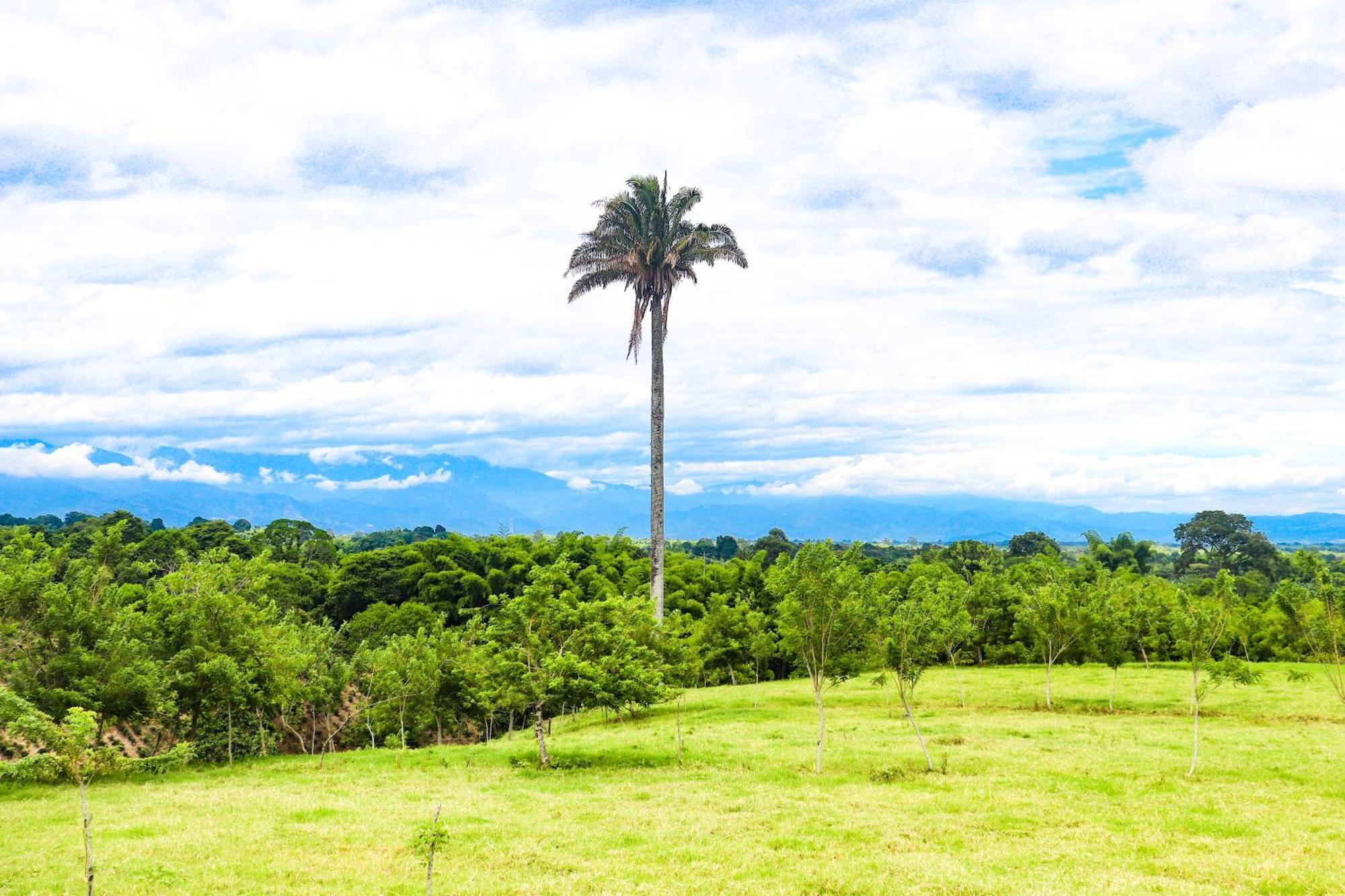 Hotel Quindio Campestre Montenegro Eksteriør bilde